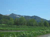 IMG_4364.JPG