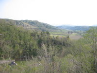 IMG_4373.JPG