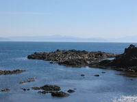 IMG_4822.JPG