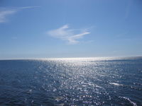 IMG_4838.JPG