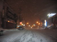 IMG_5550.JPG