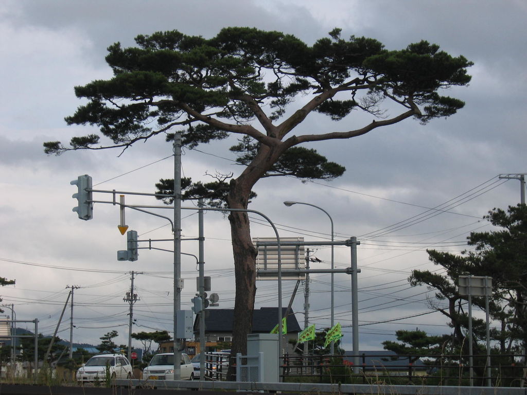 赤松街道
七飯町の赤松街道
キーワード: 渡島エリア