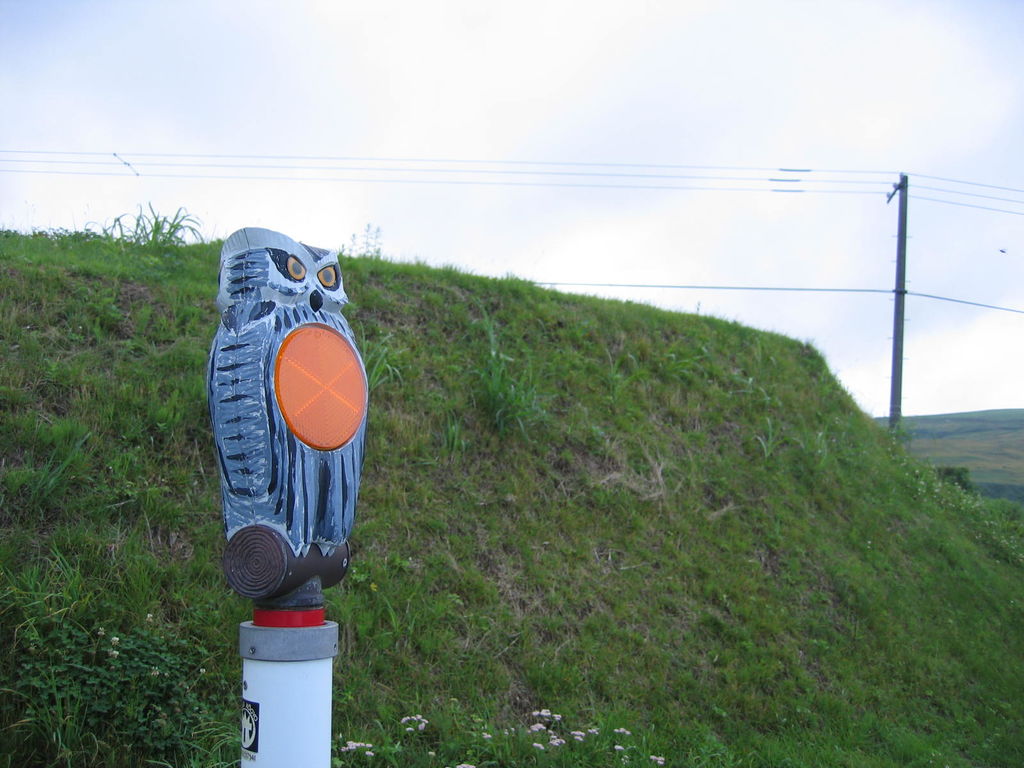 北斗市きじひき高原公園
シマフクロウ
キーワード: 渡島エリア