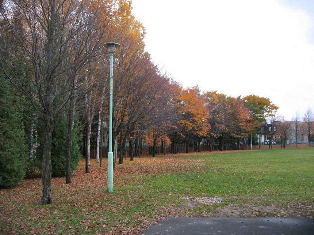 清田公園
キーワード: 札幌エリア 紅葉