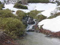 IMG_5787.JPG