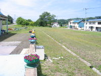 IMG_5983.JPG