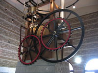IMG_5990.JPG