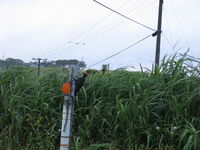 IMG_6163.JPG