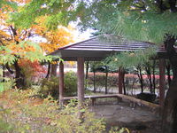 IMG_6389.JPG