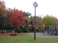 IMG_6393.JPG