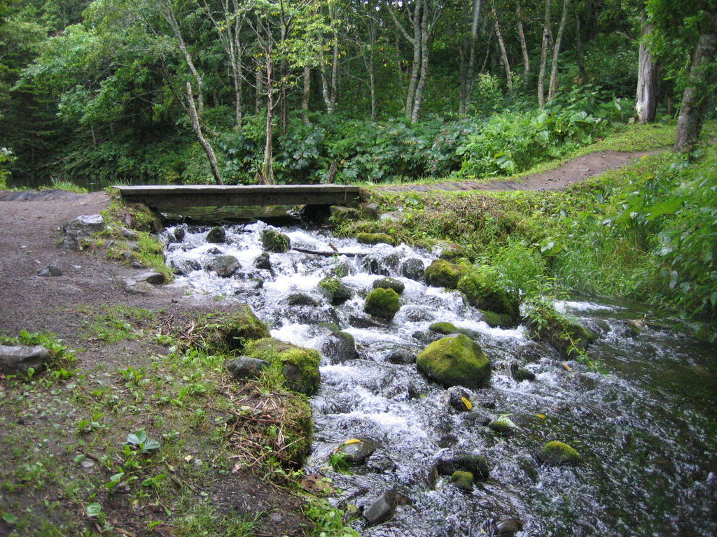 清里町 神の子池
神の子池から流れる小川。
水自体に色がついているわけではありません。
