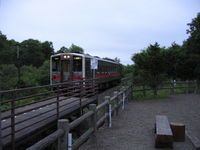 IMG_4999.JPG