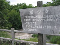 IMG_8058.JPG
