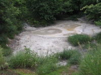 IMG_8059.JPG