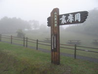 IMG_8078.JPG