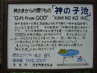 IMG_8082.JPG