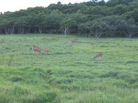 IMG_8134.JPG