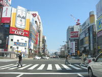 IMG_8424.JPG