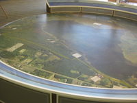 IMG_5709.JPG