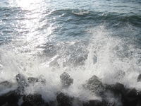 IMG_0269.JPG