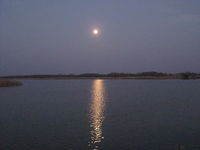IMG_0390.JPG