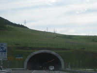 IMG_1443.JPG
