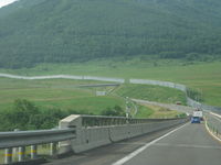 IMG_1445.JPG