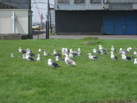 IMG_1496.JPG