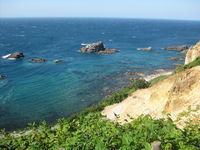 IMG_1635.JPG